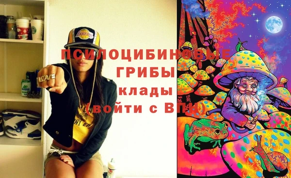 прущая мука Алзамай
