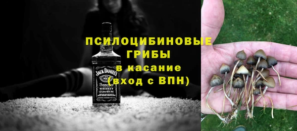 дживик Алексин