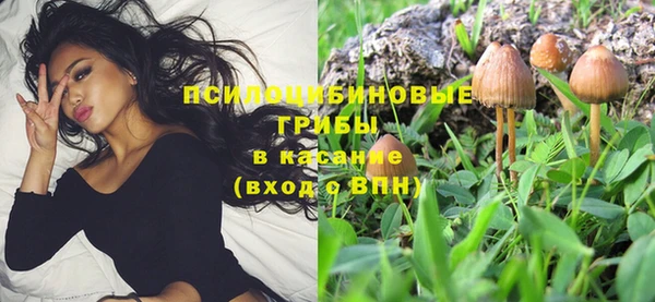 дживик Алексин