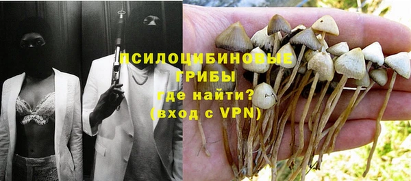 первитин Алексеевка