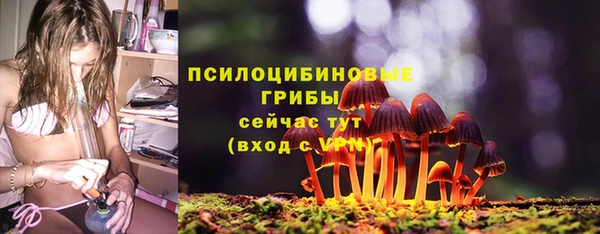первитин Алексеевка